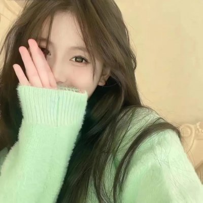 罪案终结第五季